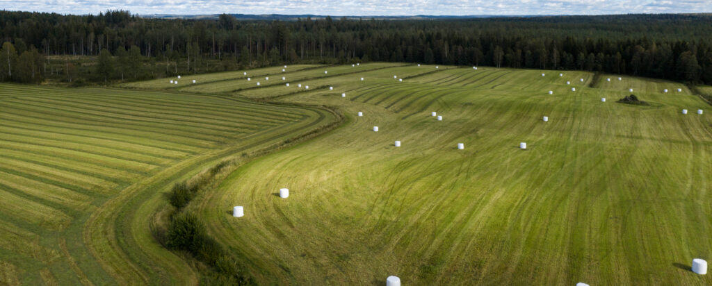 Silage bales wrapped with Triowrap silage film