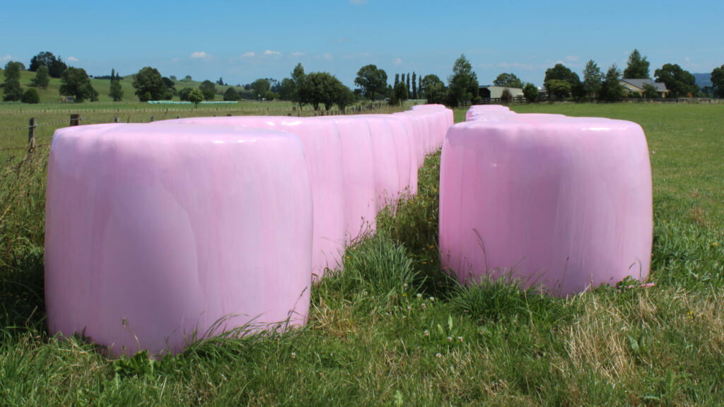 Pink bales in field